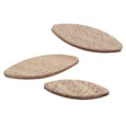biscuit (spline)