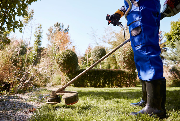 man using whipper snipper to cut grass