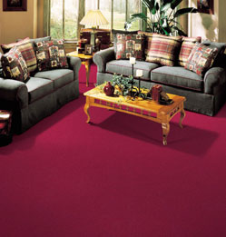 wall to wall frieze carpet