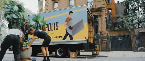 3 men moving a large plant with a moving truck in background