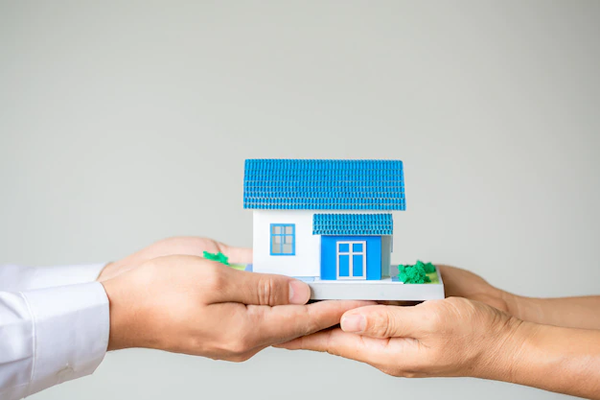 small house on two hands