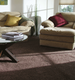 wall to wall carpeting textures