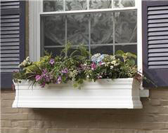 window box
