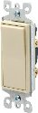 Decorator light switch