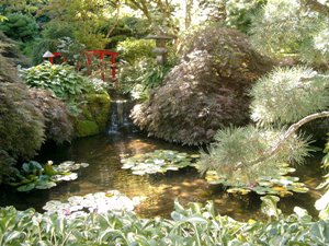 Oriental themed landscape
