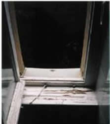Mold growing on window sill